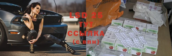 гашик Касимов
