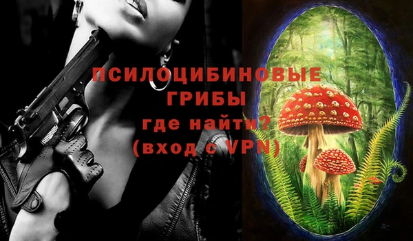 гашик Касимов