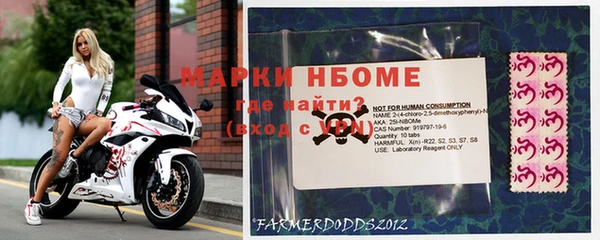 гашик Касимов